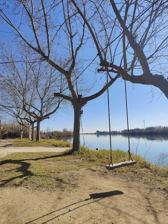 Superbe Appartement Terrasse Entierement Renove Au Bord De L'Ebre デルテブレ エクステリア 写真