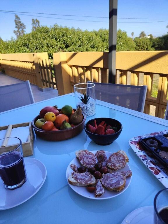 Superbe Appartement Terrasse Entierement Renove Au Bord De L'Ebre デルテブレ エクステリア 写真